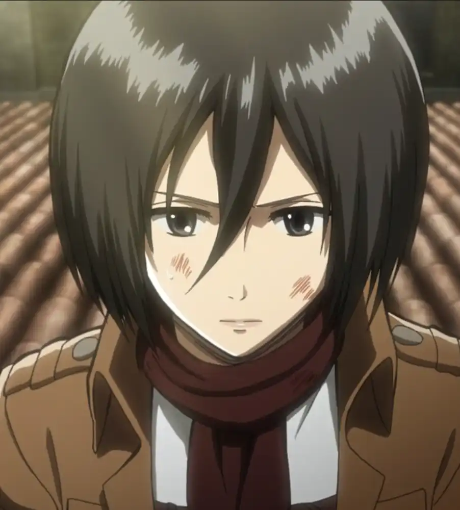 Character reference image